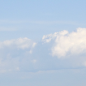 Danzarono insieme stanotte