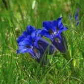 Raccoglimento preghiera