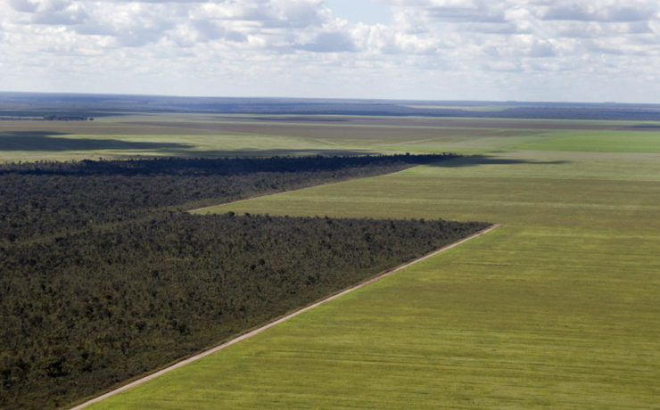 Aerial view of the Cerrado and soy monoculture